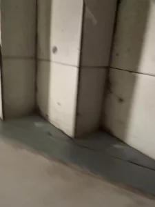 中山市离异少妇